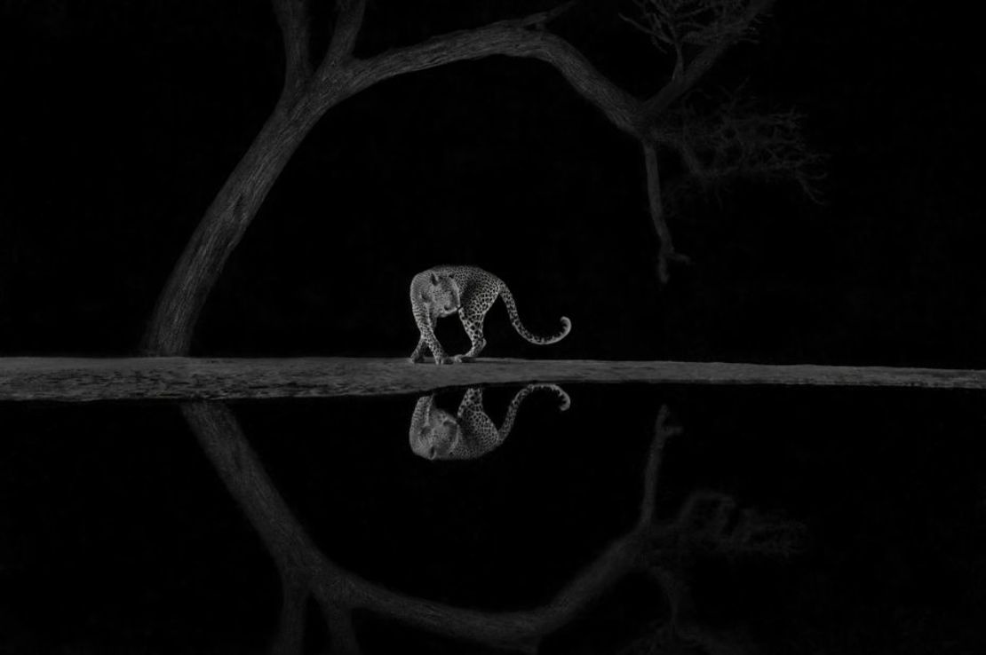 Esta foto de un leopardo junto a un estanque en el Valle del Rift Oriental de Kenya ganó a Richard Li en la categoría de blanco y negro. Crédito: Richard Li/World Nature Photography Awards