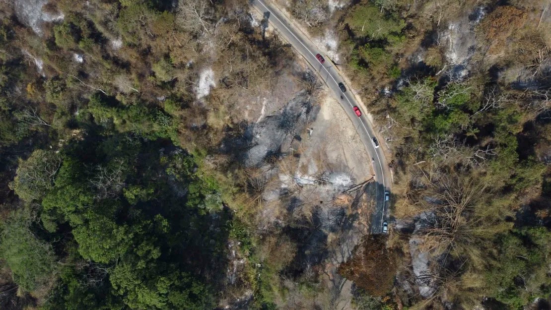 Una vista aérea muestra un bosque quemado tras un incendio forestal en el Parque Nacional Henri Pittier el 30 de marzo.