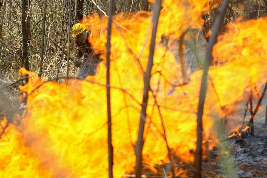 Bomberos combaten un incendio forestal en el municipio de Naguanagua, estado de Carabobo, Venezuela, el 27 de marzo.