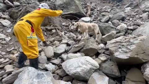 Roger participa en una operación de búsqueda tras el devastador terremoto de Taiwán. Crédito: Departamento de Bomberos de Kaohsiung.