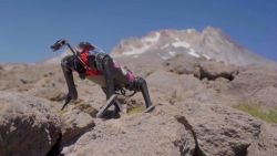 CNNE 1678210 - asi es spirit, el robot cuadrupedo en entrenamiento para explorar los planetas