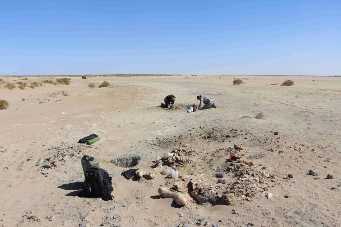 Voluntarios en la excavación arqueológica en el lago Callabonna, Australia del Sur Aaron Camens/Flinders University