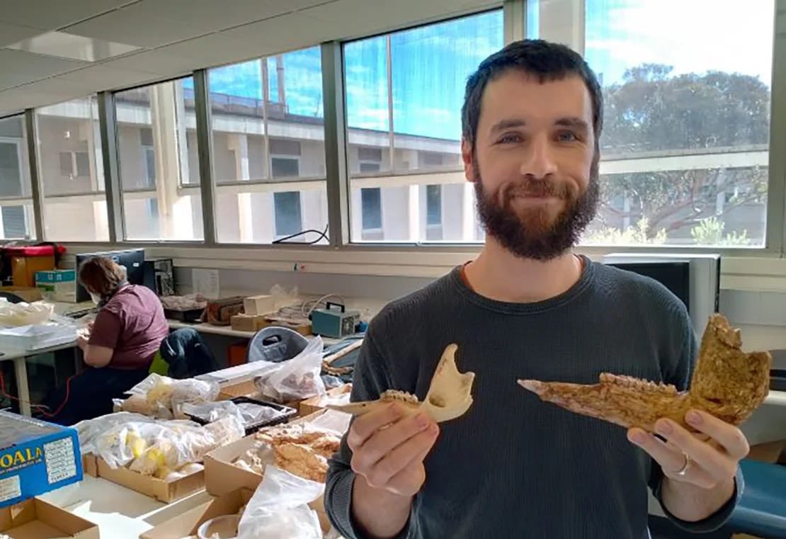 El autor principal del estudio, Isaac Kerr, aparece en la foto con un fósil de canguro. Universidad de Flinders