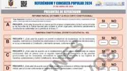 CNNE 1679706 - experta- si noboa pierde referendum, podrian llamarlo a juicio politico