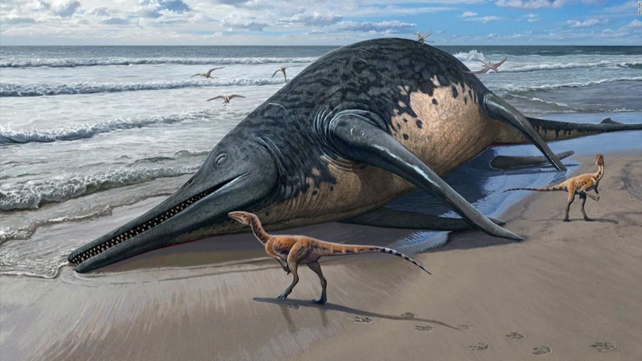 CNNE 1680128 - se descubre especie de reptil marino prehistorico