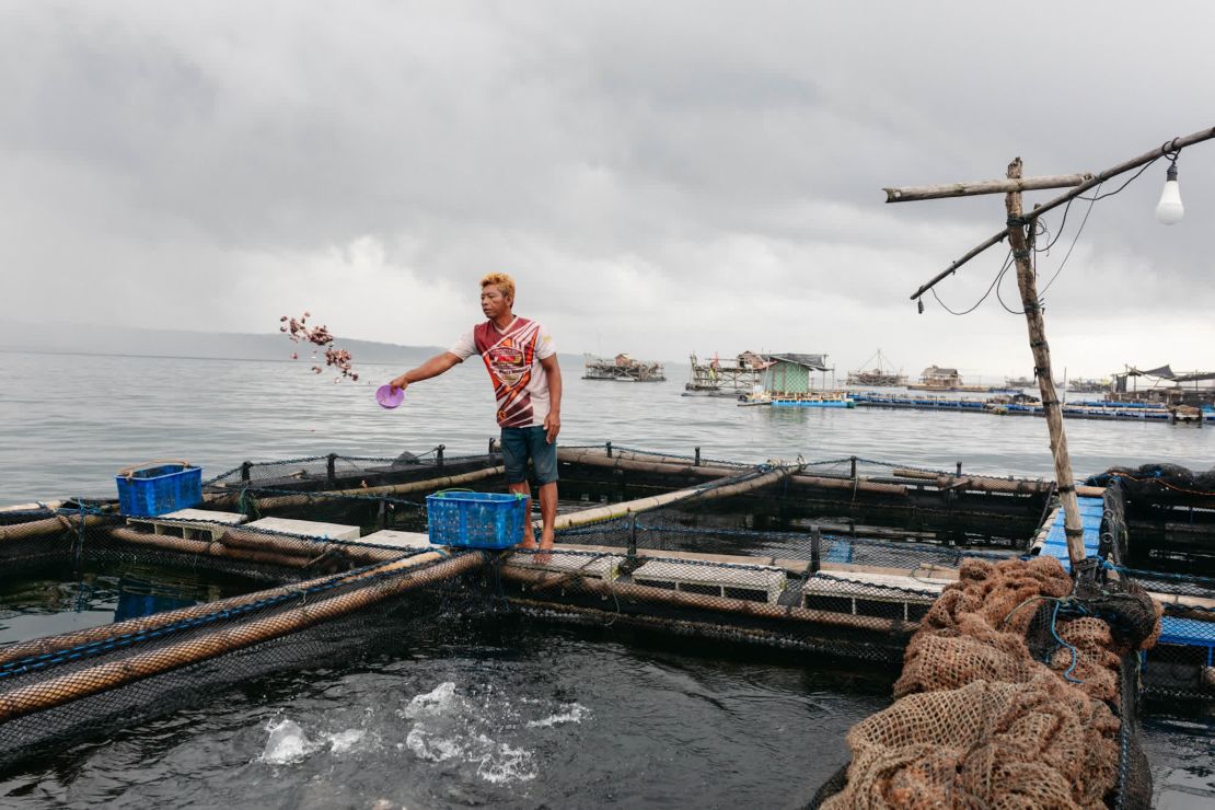 Un hombre alimenta a los peces en una piscifactoría flotante en la bahía de Pangadaran. Algunas comunidades pesqueras están recurriendo a la piscicultura, donde los peces se aíslan del resto del mar con redes para limitar su contacto con la contaminación plástica.