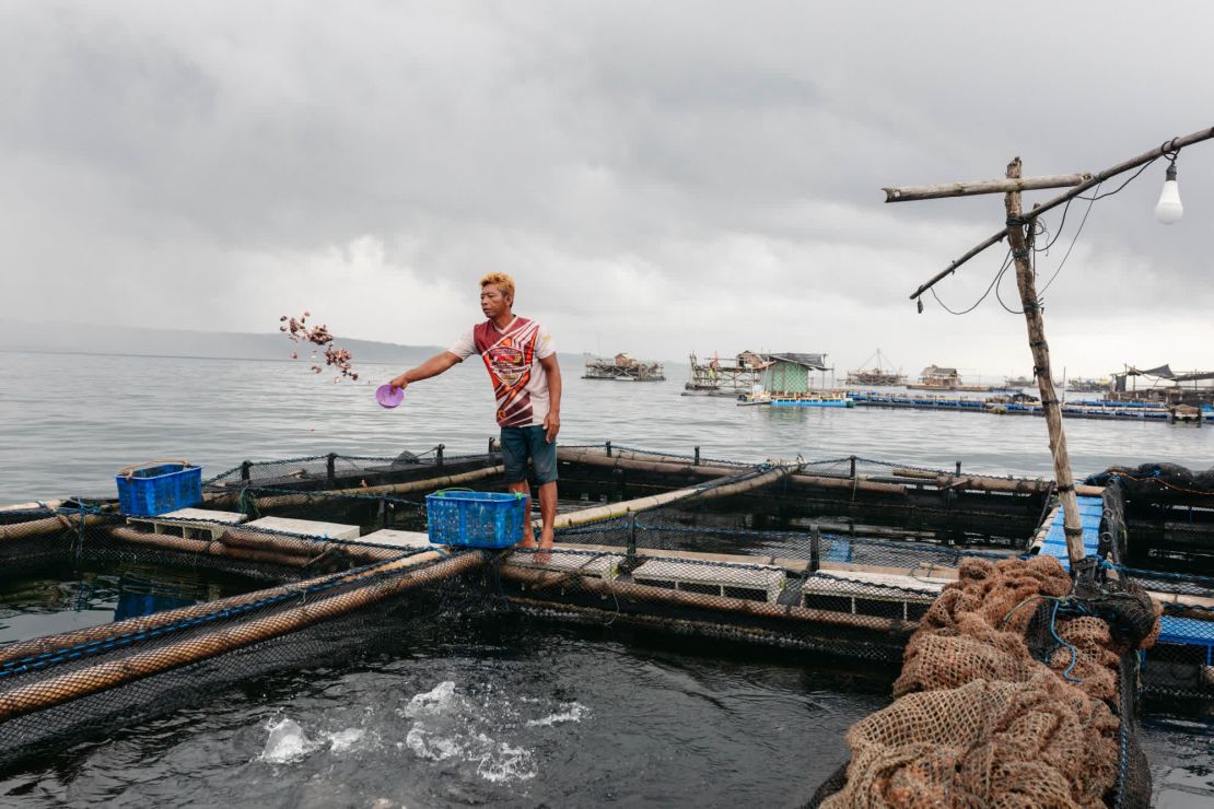 Un hombre alimenta a los peces en una granja de peces flotante de la bahía de Pangadaran. Algunas comunidades pesqueras están recurriendo a la piscicultura, donde los peces se aíslan del resto del mar con redes para limitar su contacto con la contaminación plástica. Crédito: Edu Ponces/RUIDO Photo