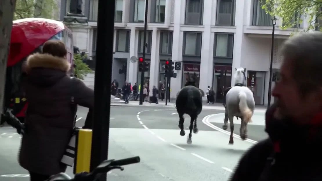 Un video mostraba a los caballos corriendo por una calle de Londres.