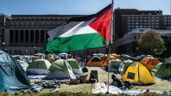 CNNE 1683608 - las protestas propalestinos se extienden por las universidades de estados unidos