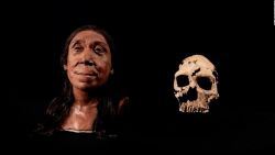 CNNE 1686359 - este era el rostro de una mujer neandertal que vivio hace 75-000 anos