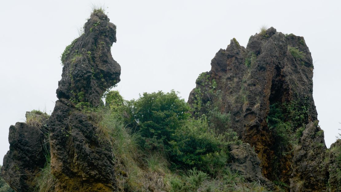 El parque es hogar de 132 especies de animales.