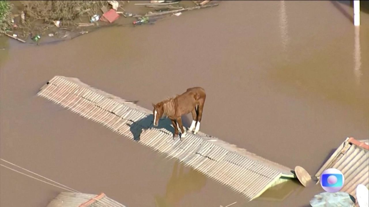 CNNE 1689486 - el rescate de un caballo en las inundaciones en brasil