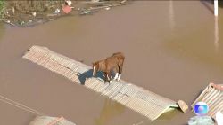 CNNE 1689486 - el rescate de un caballo en las inundaciones en brasil