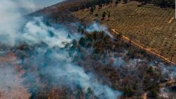 CNNE 1691114 - ¿que causan los incendios forestales activos en mexico?