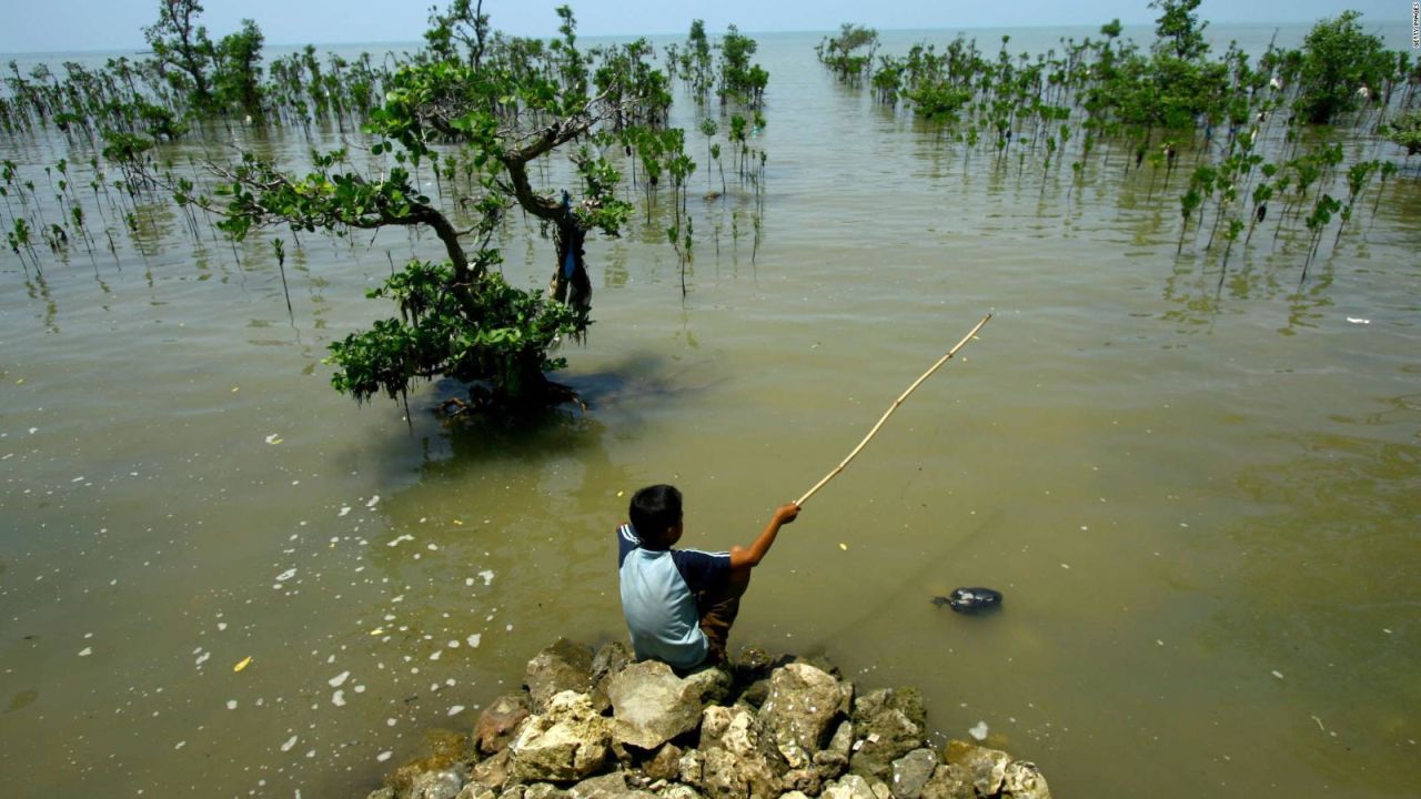 CNNE 1691118 - cambio climatico- ¿que esta pasando con la tierra?