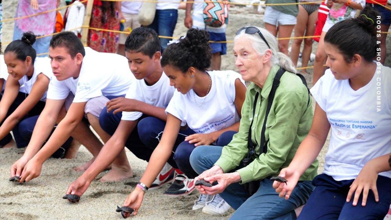 CNNE 1691395 - jane goodall, de su trabajo de conservacion, a empoderar a jovenes