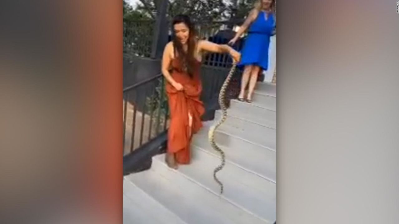 CNNE 1692086 - serpiente interrumpe una boda en arizona