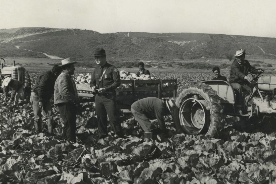 Agentes de la patrulla comprueban los papeles de los trabajadores agrícolas en la década de 1950. Aunque el programa bracero proporcionaba una vía legal para los trabajadores invitados, las medidas enérgicas contra la inmigración ilegal también eran comunes durante ese periodo. Crédito: Oficina de Historia y Biblioteca del USCIS/Departamento de Seguridad Nacional