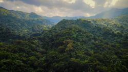 CNNE 1694995 - el yunque, protector de los bosques tropicales