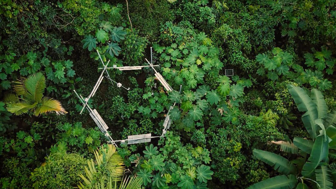 El Yunque es desde hace décadas un laboratorio a cielo abierto.