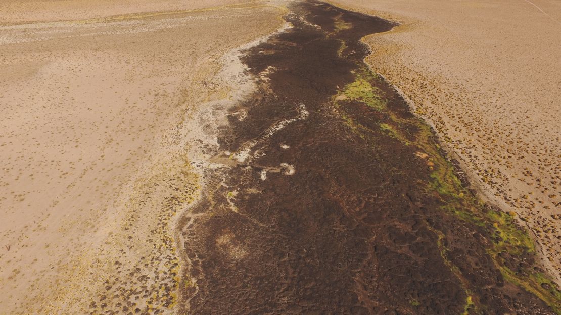 Vega seca del Río Trapiche / febrero de 2024 / Crédito: Fundación YUCHAN