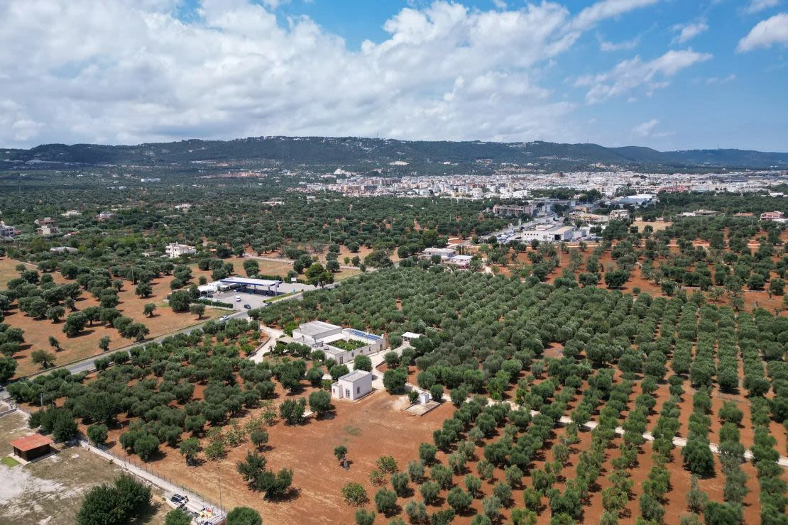 La ciudad de Fasano y sus alrededores, cerca del lujoso complejo turístico de Borgo Egnazia, sede de la cumbre del G7, el 4 de junio de 2024. Crédito: Francesca Volpi/Bloomberg/Getty Images