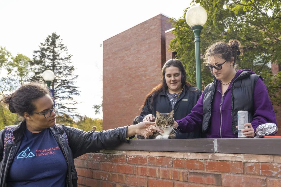 Los estudiantes acarician a Max frente al Leavenworth Hall en la Universidad Estatal de Vermont Castleton. A Max le gusta subirse a sus mochilas. Crédito: Rob Franklin/Universidad Estatal de Vermont.