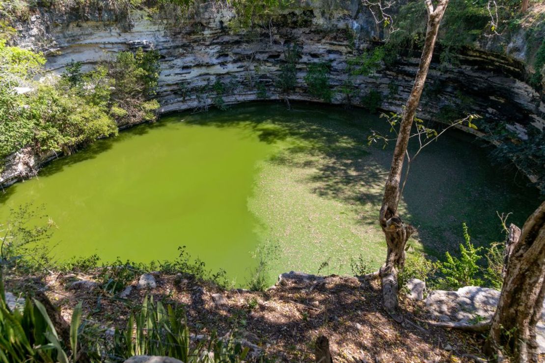 Se descubrió que el cenote sagrado de Chichén Itzá contenía restos humanos y ofrendas de bienes valiosos. Crédito: Geography Photos/Universal Images Group Editorial/Getty Images