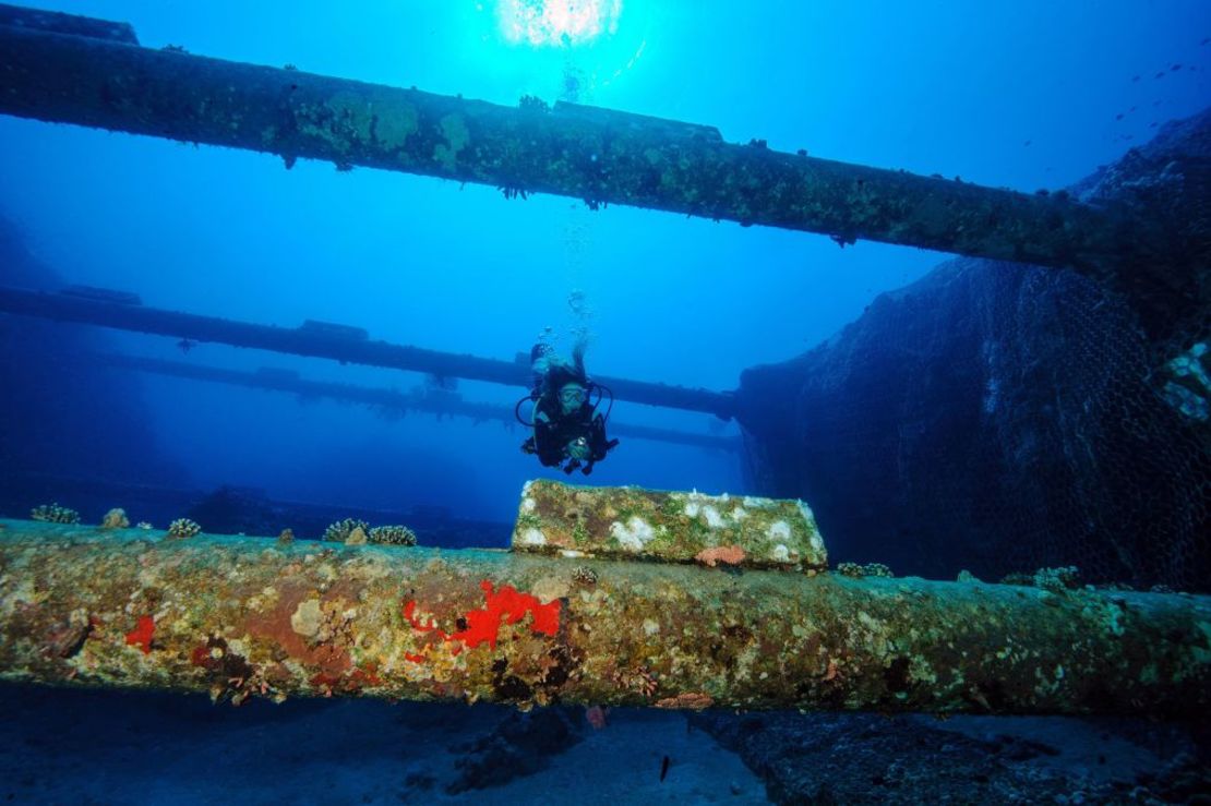 Parte de un cable submarino de Internet entre Aqaba (Jordania) y Taba (Egipto), en el mar Rojo. Los conectores de Internet también han sufrido daños en el mar. Crédito: Frank Schneider/imageBROKER/Shutterstock