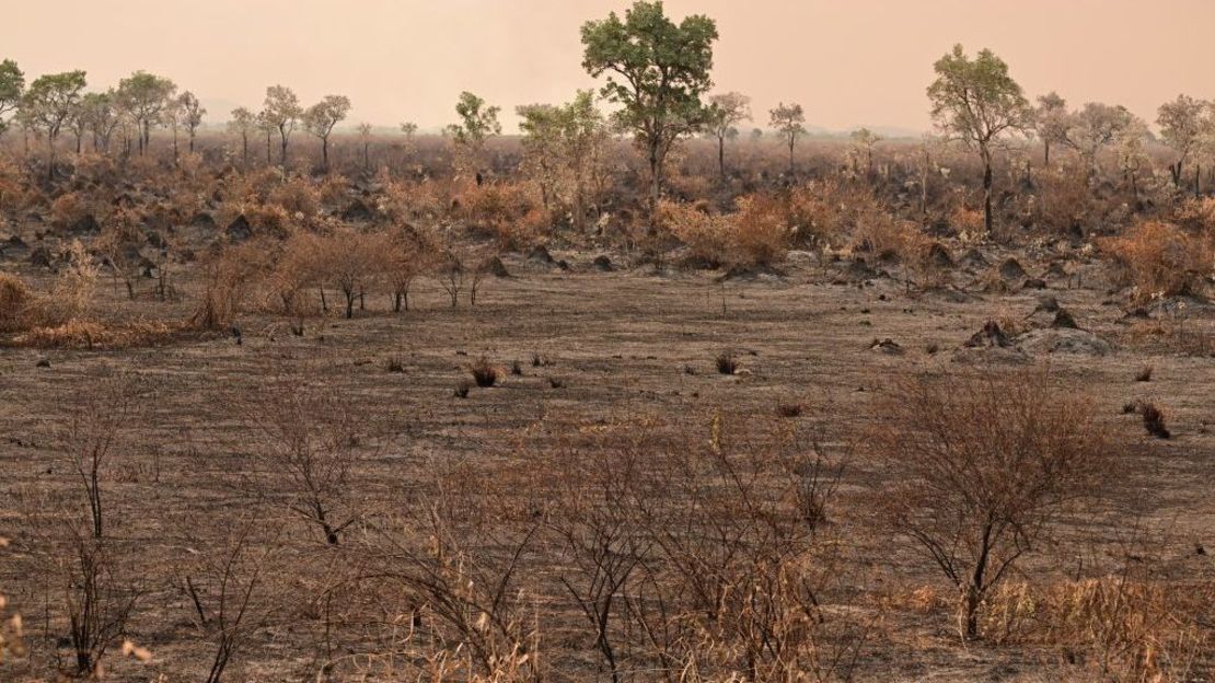 Una zona afectada por el incendio en el Pantanal, Corumbá, estado de Mato Grosso do Sul, Brasil, el 28 de junio de 2024.