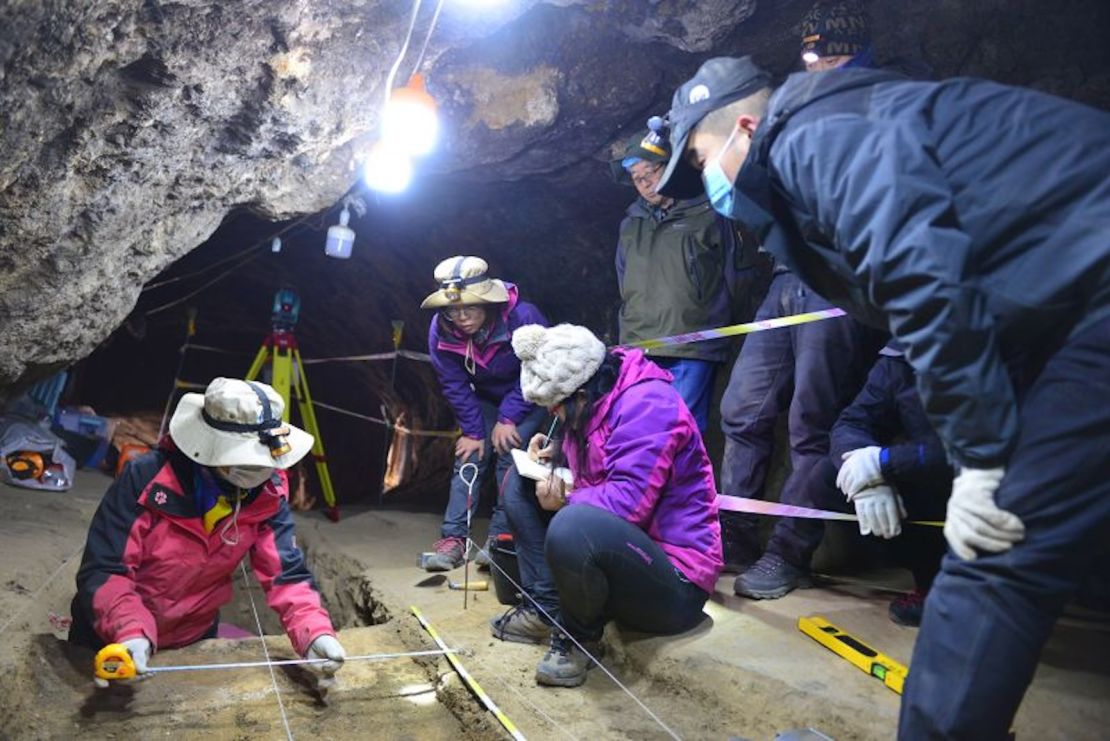 El análisis de fragmentos óseos desenterrados durante las excavaciones en la cueva cárstica de Baishiya ha revelado qué animales descuartizaban, comían y procesaban los denisovanos.