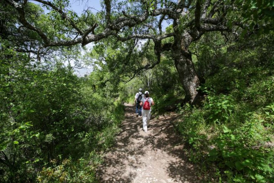 En la actualidad, Termeso se encuentra en un parque nacional repleto de vida salvaje. Para llegar a las ruinas hay que caminar por senderos empinados y a veces rocosos. Crédito: Orhan Cicek/Anadolu Agency/Getty Images