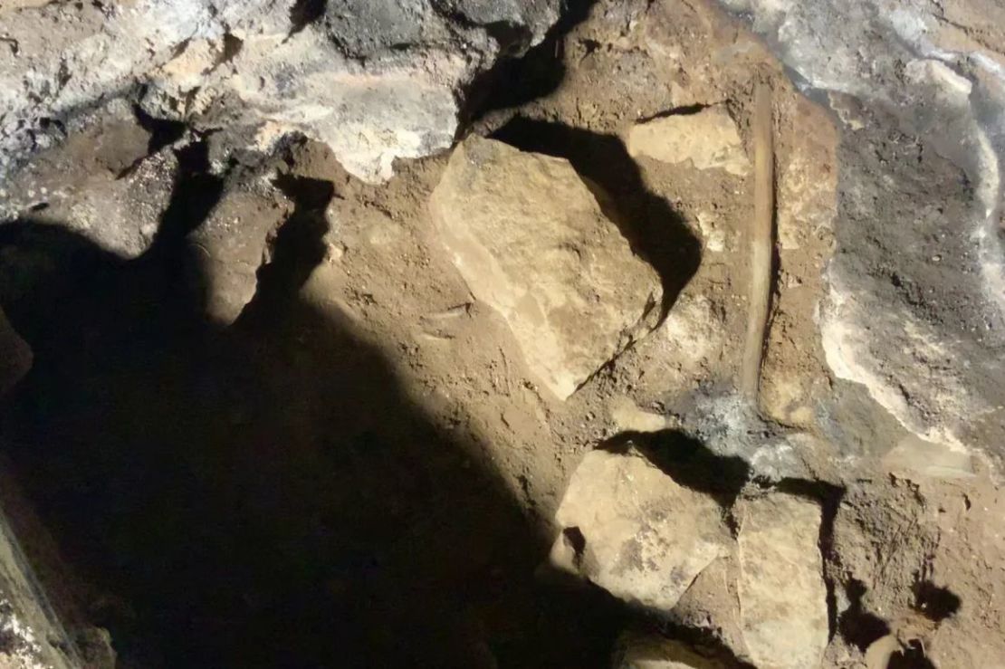 Los dos palos de madera tienen entre 11.000 y 12.000 años de antigüedad. Crédito: Cortesía de GLaWAC.