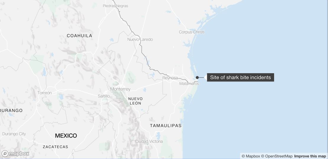 El tiburón mordió a los bañistas en South Padre Island frente a Texas.