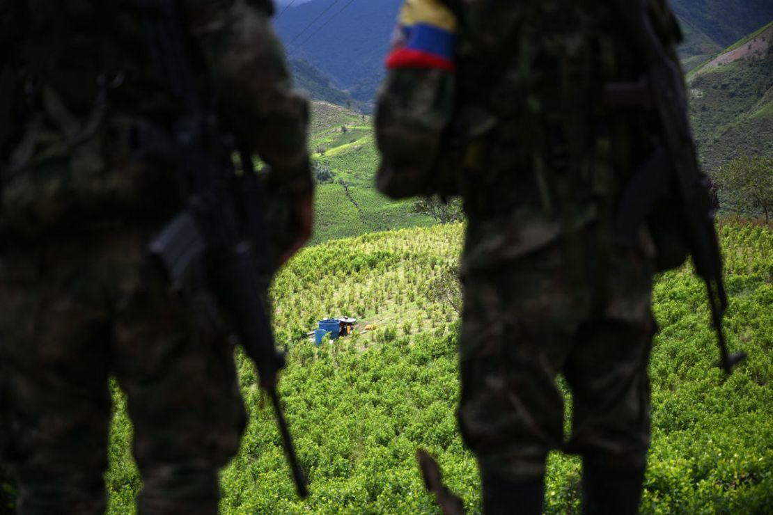 Miembros del frente Carlos Patiño de la patrulla guerrillera disidente de las FARC junto a cultivos de coca en el Cañón de Micay, una zona montañosa y bastión de EMC en el departamento de Cauca, suroeste de Colombia, el 24 de marzo de 2024. Crédito: RAÚL ARBOLEDA/AFP vía Getty Images