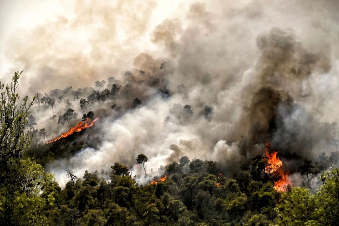 Un incendio forestal arde en Sofiko, cerca de Corinto, en la región griega del Peloponeso, el 17 de julio de 2024.