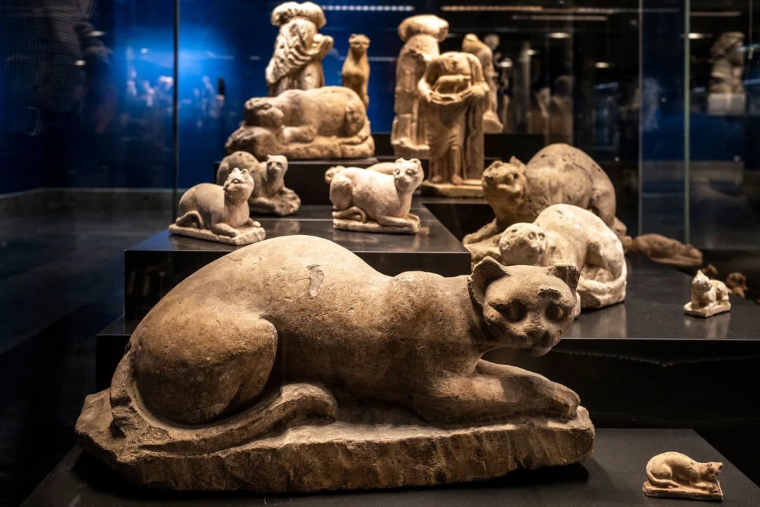 Una colección de figuras de gatos dedicadas a la antigua deidad egipcia Bastet se exhibe en el Museo Grecorromano de la ciudad costera de Alejandría, en el norte de Egipto, el 23 de noviembre de 2023. (Foto: Amir Makar/AFP/Getty Images/archivo).