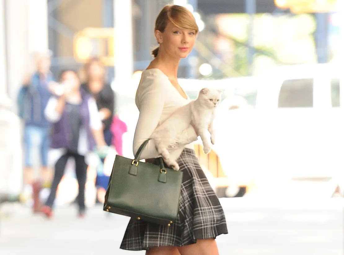 Taylor Swift es vista en Nueva York en 2014 con uno de sus gatos. (Foto: Raymond Hall/GC Images/Getty Images).