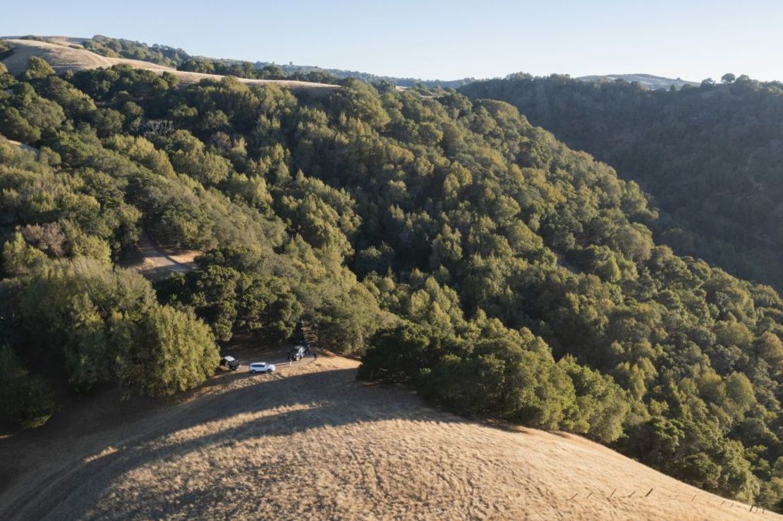 La policía en Pleasanton Ridge, California, el 3 de agosto de 2021, después de que un voluntario encontrara el cuerpo de Philip Kreycik bajo un árbol. Crédito: Santiago Mejía/San Francisco Chronicle/Getty Images