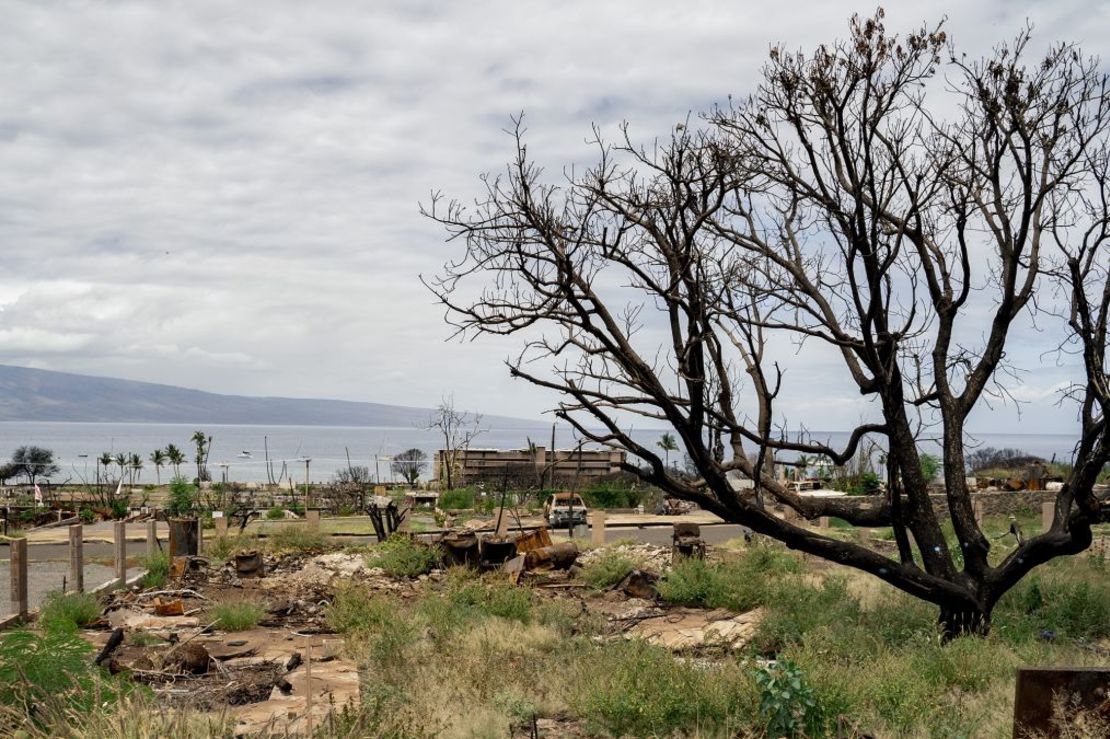 Árboles quemados y escombros de una propiedad dañada por el incendio forestal del año pasado se ven en Lahaina, Hawai, el 3 de mayo de 2024. Crédito: Mengshin Lin/The Washington Post/Getty Images