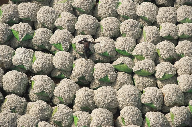 Pacas de algodón, Thonakaha, región de Korhogo, Costa de Marfil. Al igual que los campos de tulipanes, toma un momento notar a la figura humana que se encuentra entre las muchas pacas de algodón en esta fotografía (Arthus-Bertrand, Altitudes Anyway).