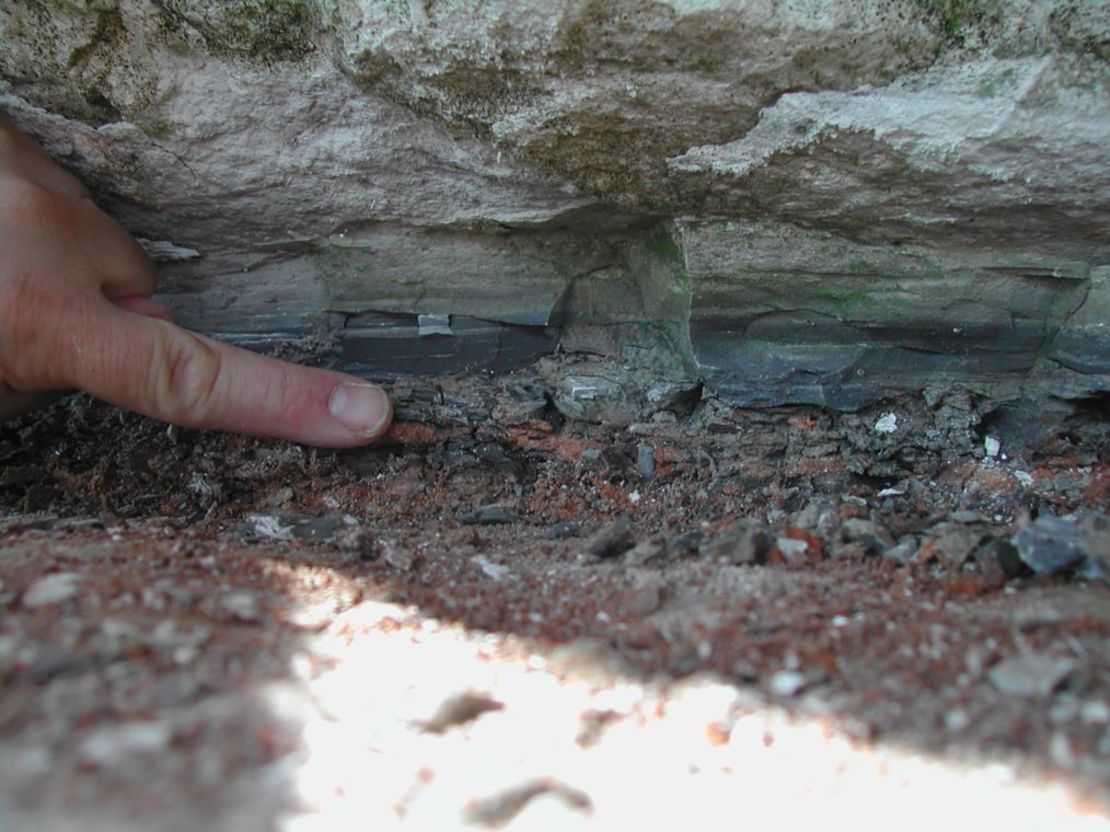 La capa límite Cretácico-Paleógeno se ve en Stevns Klint, Dinamarca. Los autores del estudio investigaron la capa de arcilla roja con mayores concentraciones de rutenio, que indicaba la llegada de material carbonoso vaporizado de asteroides dispersado desde la zona de impacto de Chicxulub. Crédito: Philippe Claeys