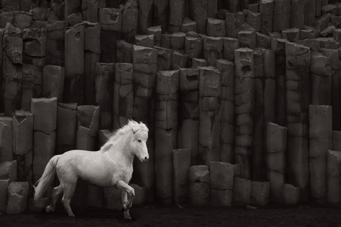 "Islandia es el hogar de una raza muy noble y a la vez robusta que desciende del caballo vikingo original. Su historia en Islandia encierra mucho misterio e intriga", dijo Doggett.