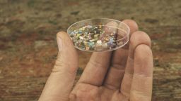 Los microplásticos a veces se pueden ver a simple vista, pero los nanoplásticos no.