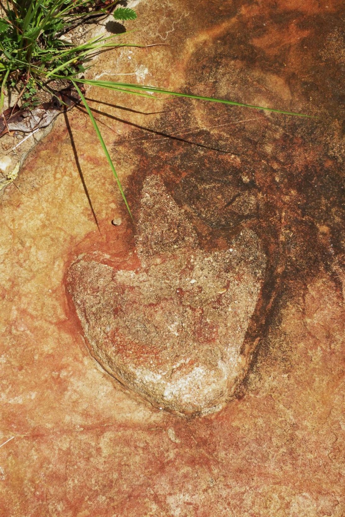 Una huella de terópodo aparece en esta imagen de la cuenca del Sousa, en el noreste de Brasil. Crédito: Ismar de Souza Carvalho