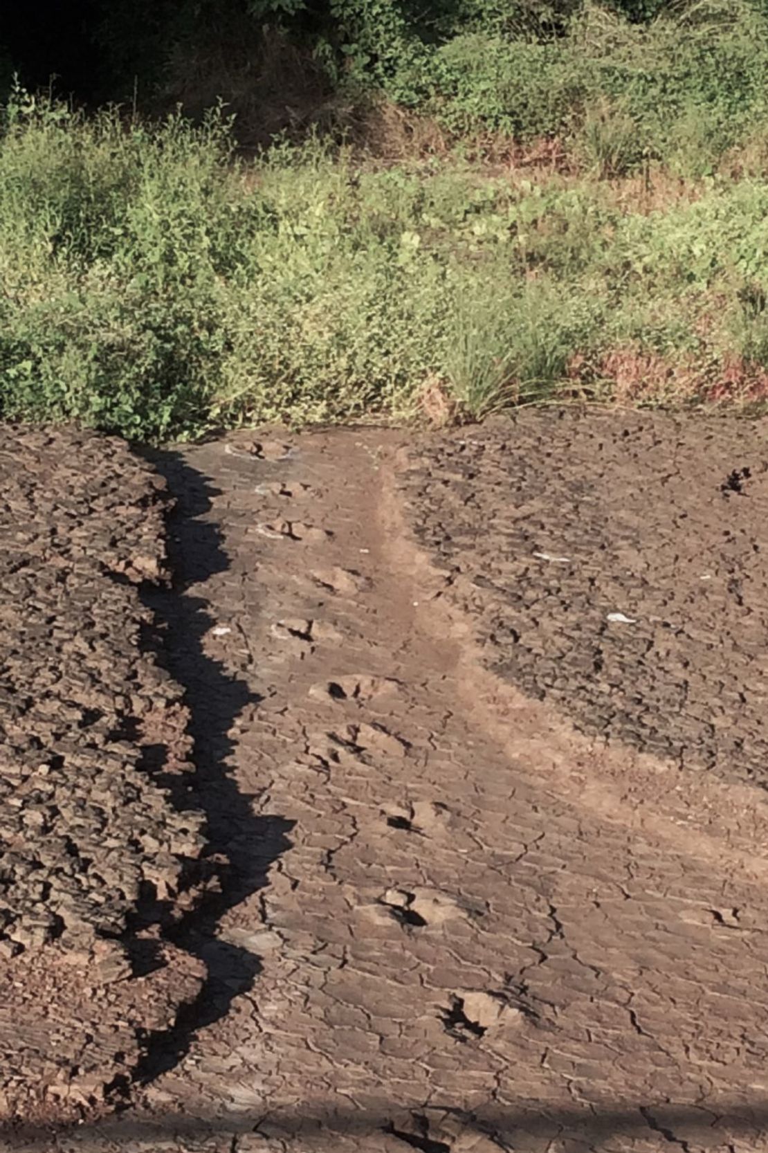 Huellas de dinosaurio pertenecientes a un terópodo son visibles en la cuenca de Sousa. Crédito: Ismar de Souza Carvalho