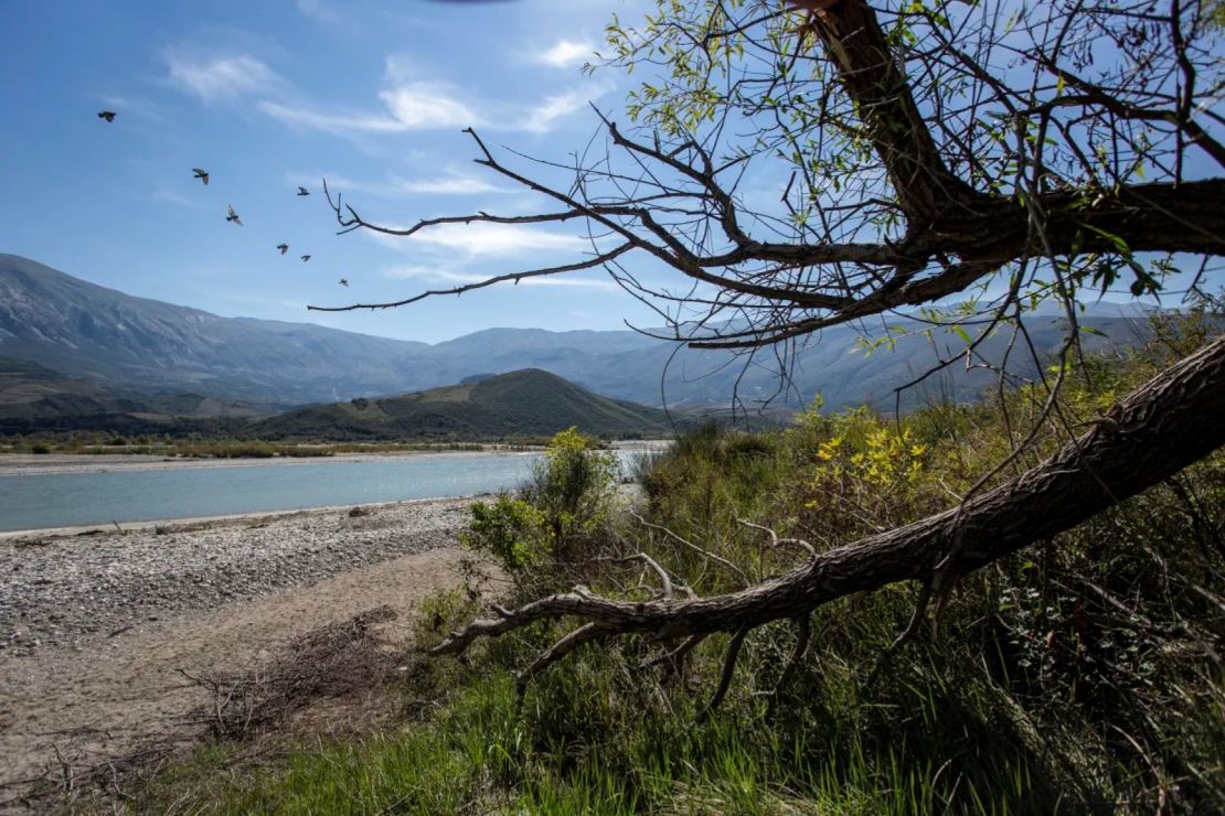 El río Vjosa en Albania es considerado uno de los últimos ríos salvajes de Europa.