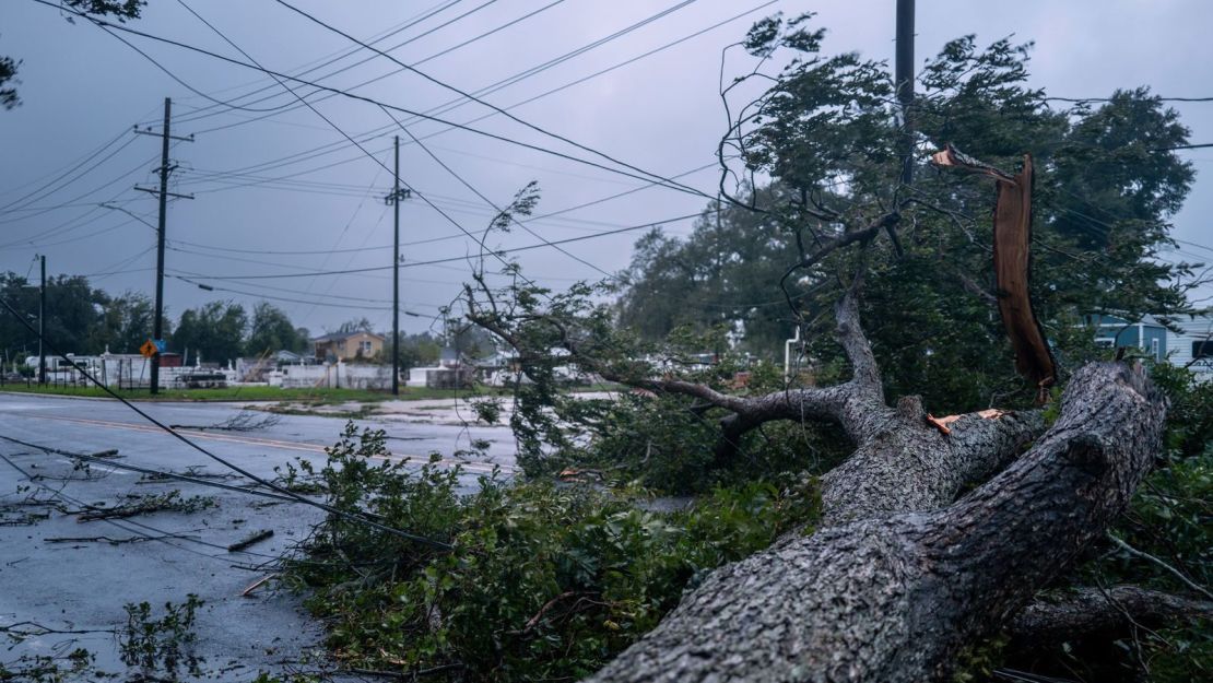 Un árbol caído bloquea una intersección en Houma, Luisiana, el 11 de septiembre de 2024.