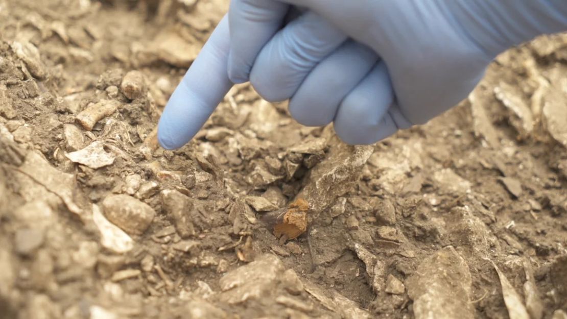 Los restos de un neandertal, apodado Thorin, fueron descubiertos en la cueva Mandrin, un refugio rocoso en el valle del Ródano, en el sur de Francia. Cortesía de Ludovic Slimak