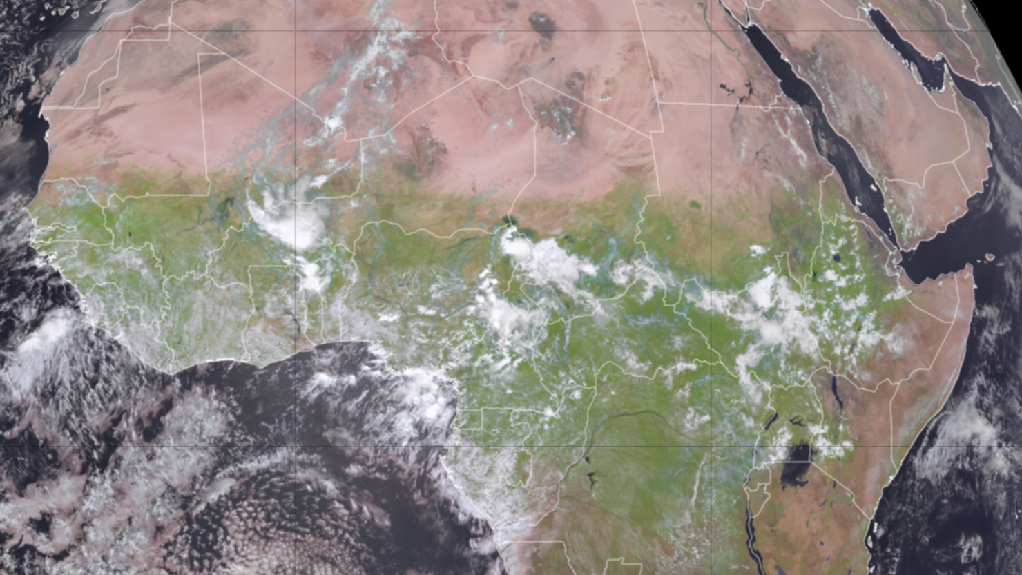 Imágenes satelitales captan vegetación (verde) sobre África el 13 de septiembre de 2024.